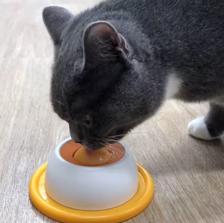 Plato roll-on antiestrés para mascotas